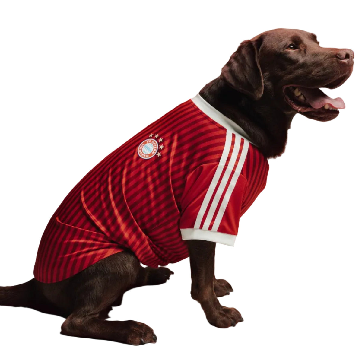 Bayern Munich Home Pet Shirt 26/27