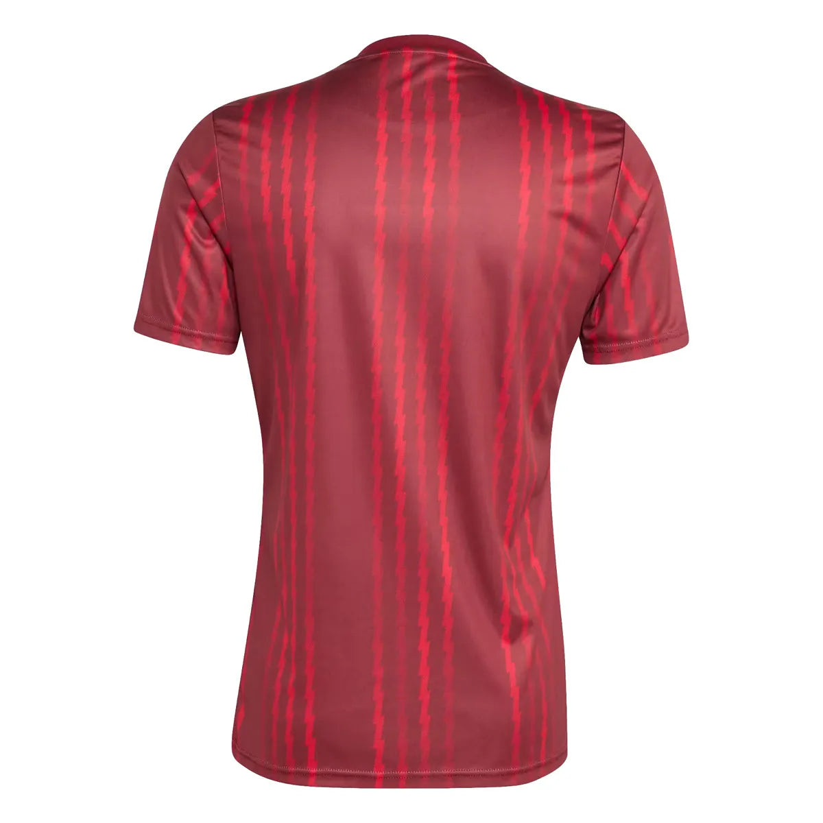 Arsenal Special Edition Jersey 25/26