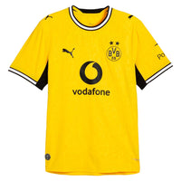 Player Version