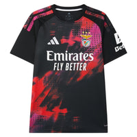 Player Version