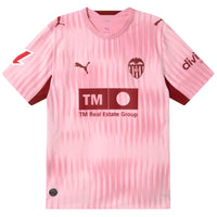 Player Version