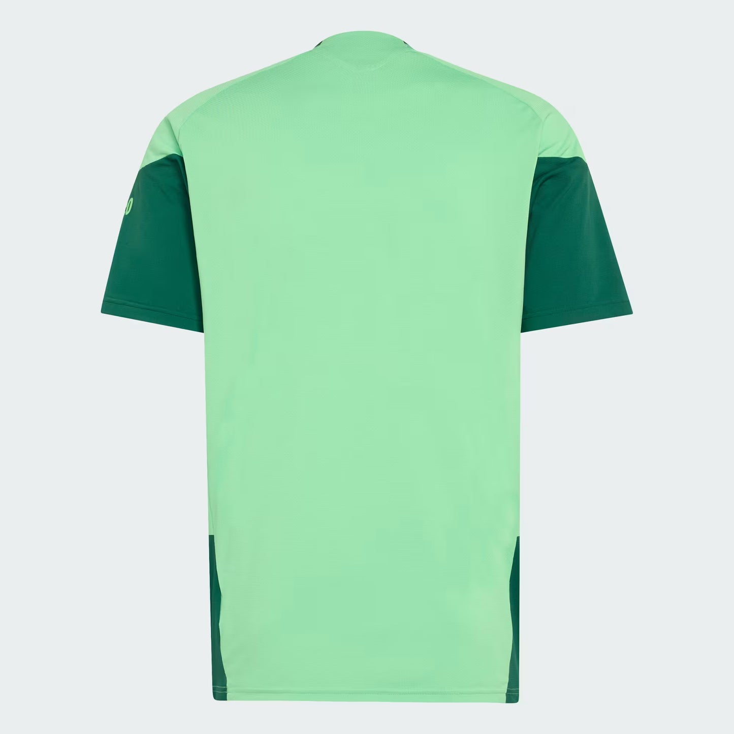 Mexico Training Jersey Green 2026