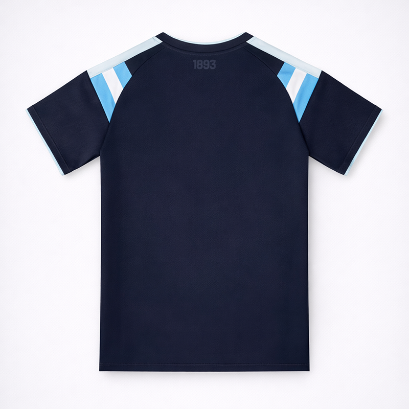 Argentina 2026 Jersey Soccer Concept