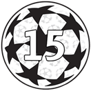 Champions League 15 Badge (Left Sleeve)