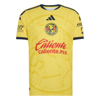 Player Version