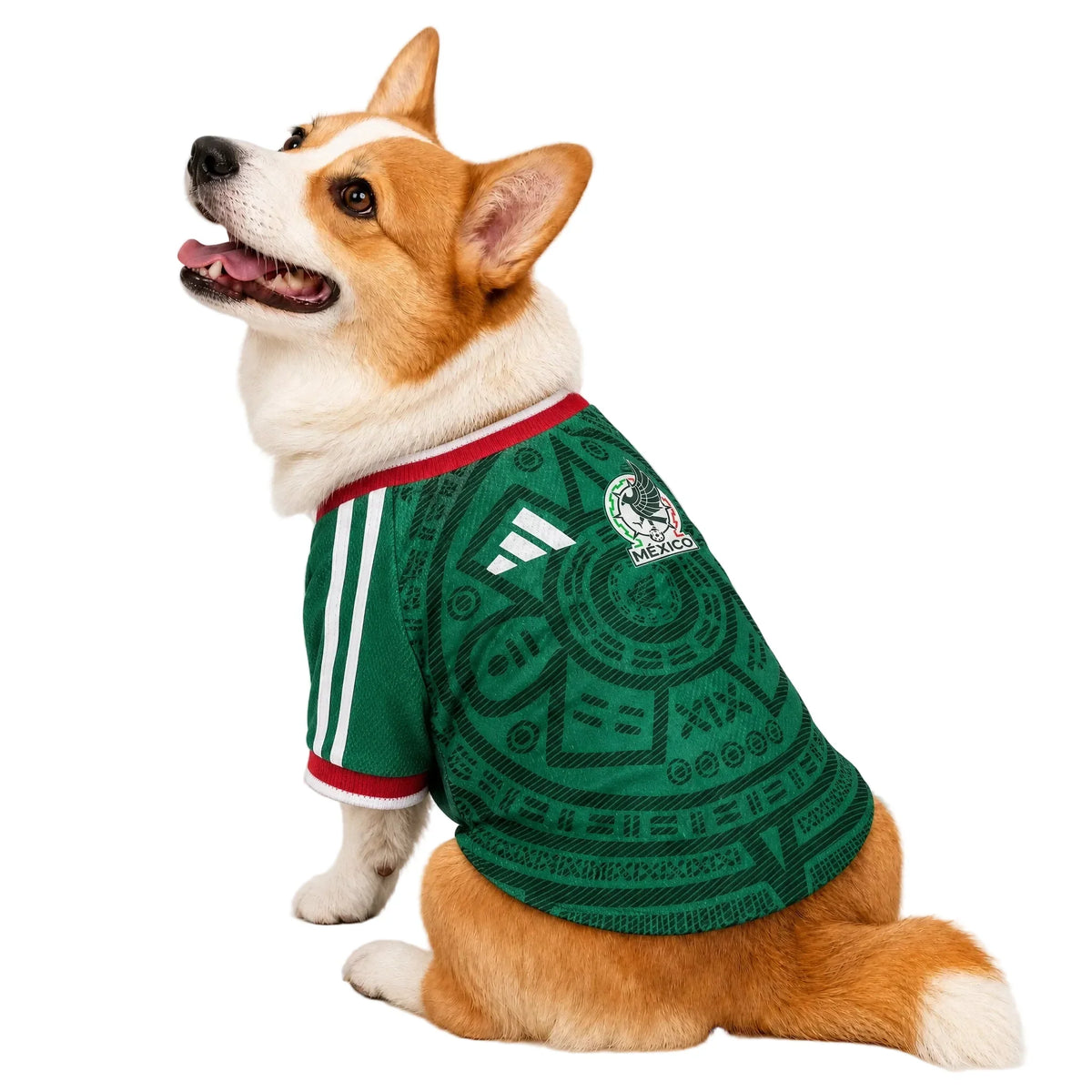 Mexico Home Pet Shirt 2026