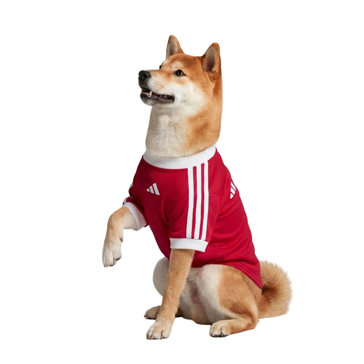 Manchester United Home Pet Shirt 26/27