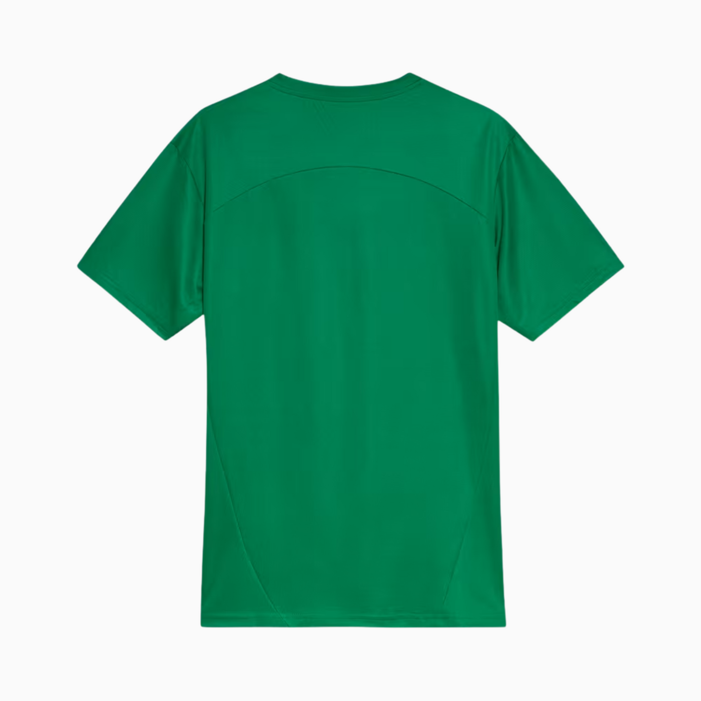 Palmeiras 2025/26 Jersey Soccer Green - Training