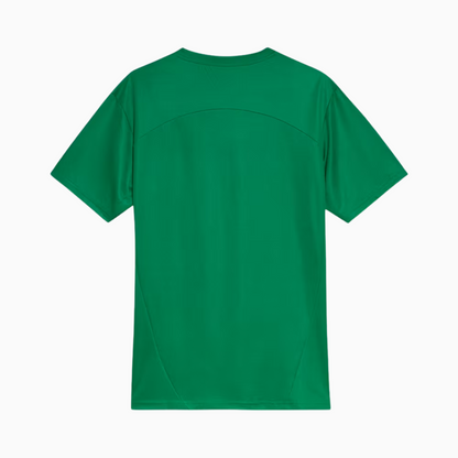 Palmeiras 2025/26 Jersey Soccer Green - Training