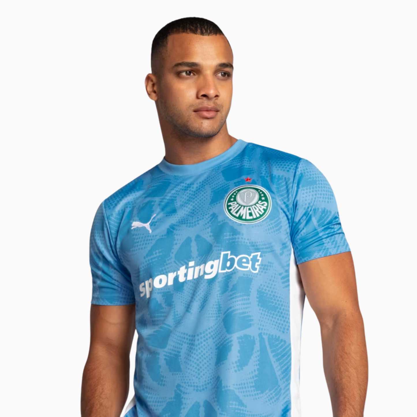 Palmeiras 2025/26 Goalkeeper Jersey – Fan Version