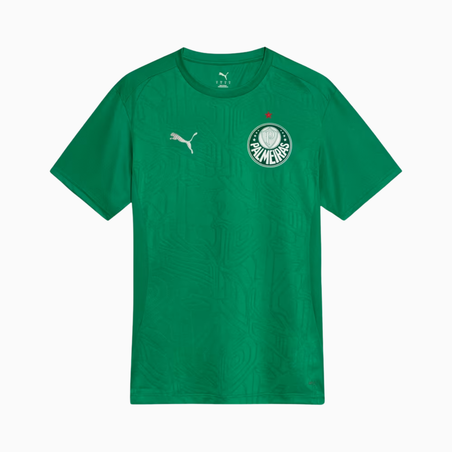 Palmeiras 2025/26 Jersey Soccer Green - Training
