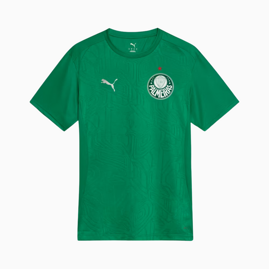 Palmeiras 2025/26 Jersey Soccer Green - Training