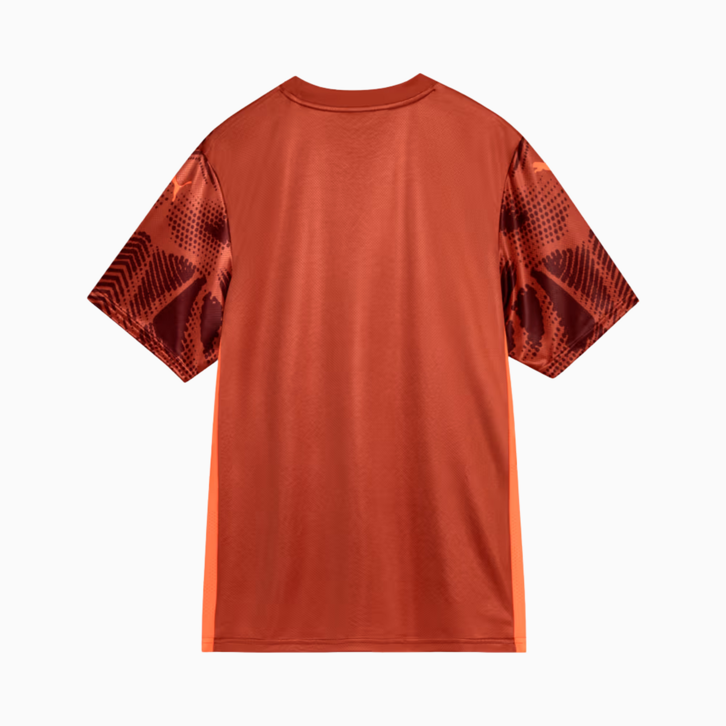 Palmeiras 2025/26 Goalkeeper Jersey - Fan Version