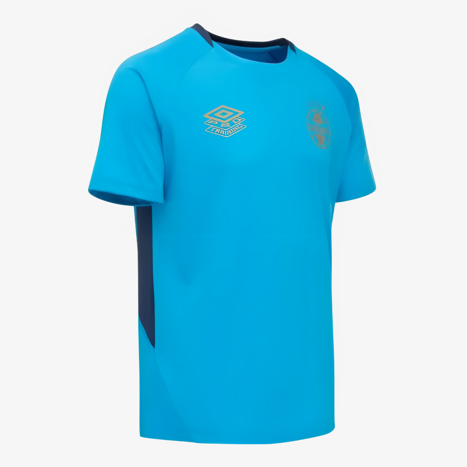 Grêmio 2025/26 Training Jersey Soccer
