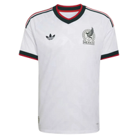 Player Version