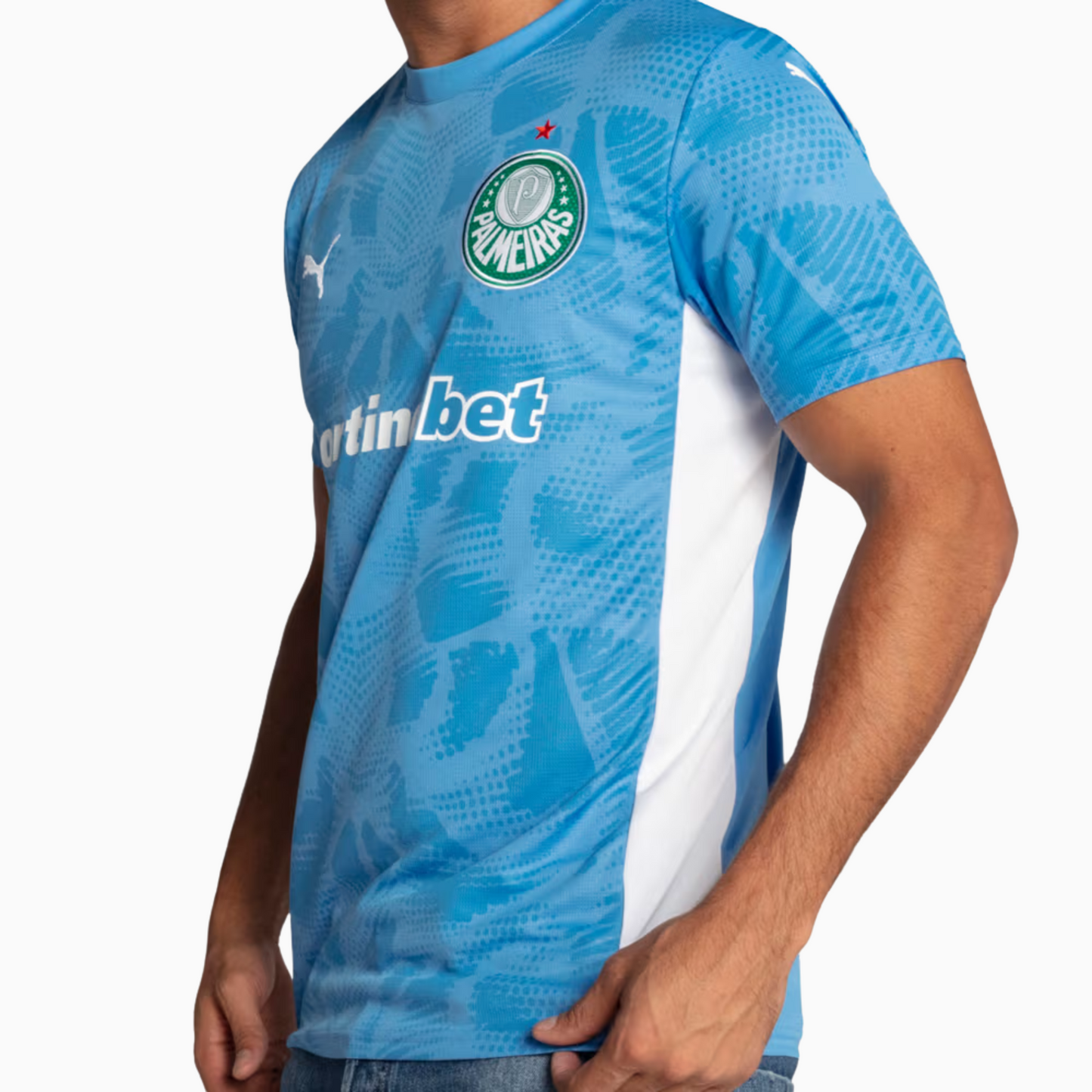 Palmeiras 2025/26 Goalkeeper Jersey – Fan Version