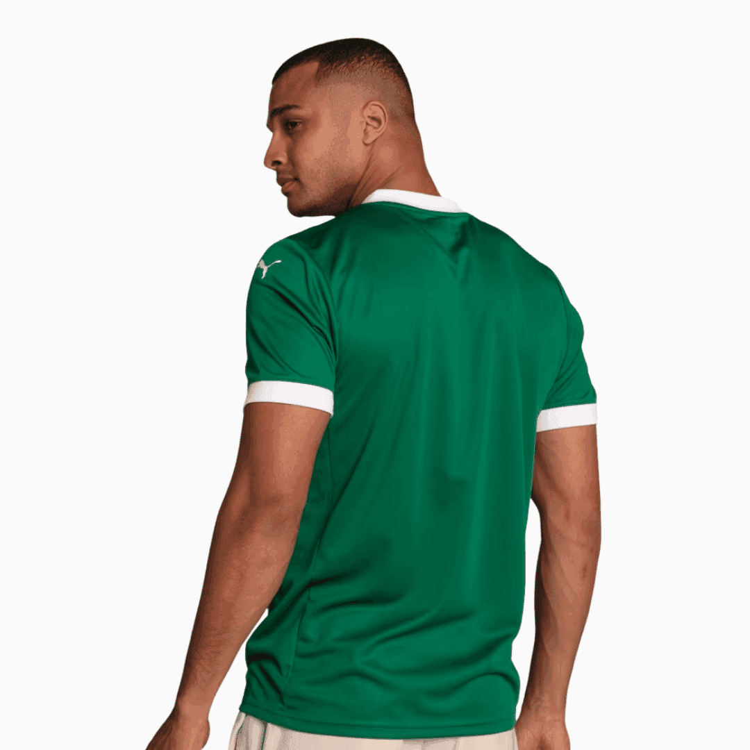 Palmeiras 2025/26 I Home Jersey - Fan Version