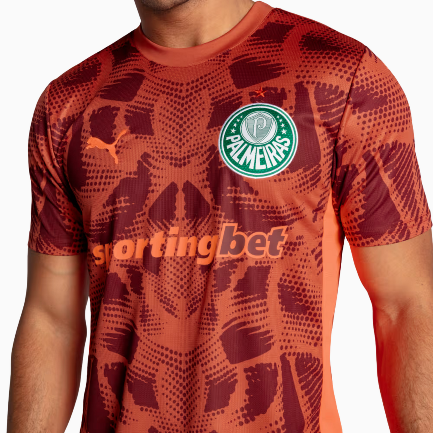 Palmeiras 2025/26 Goalkeeper Jersey - Fan Version