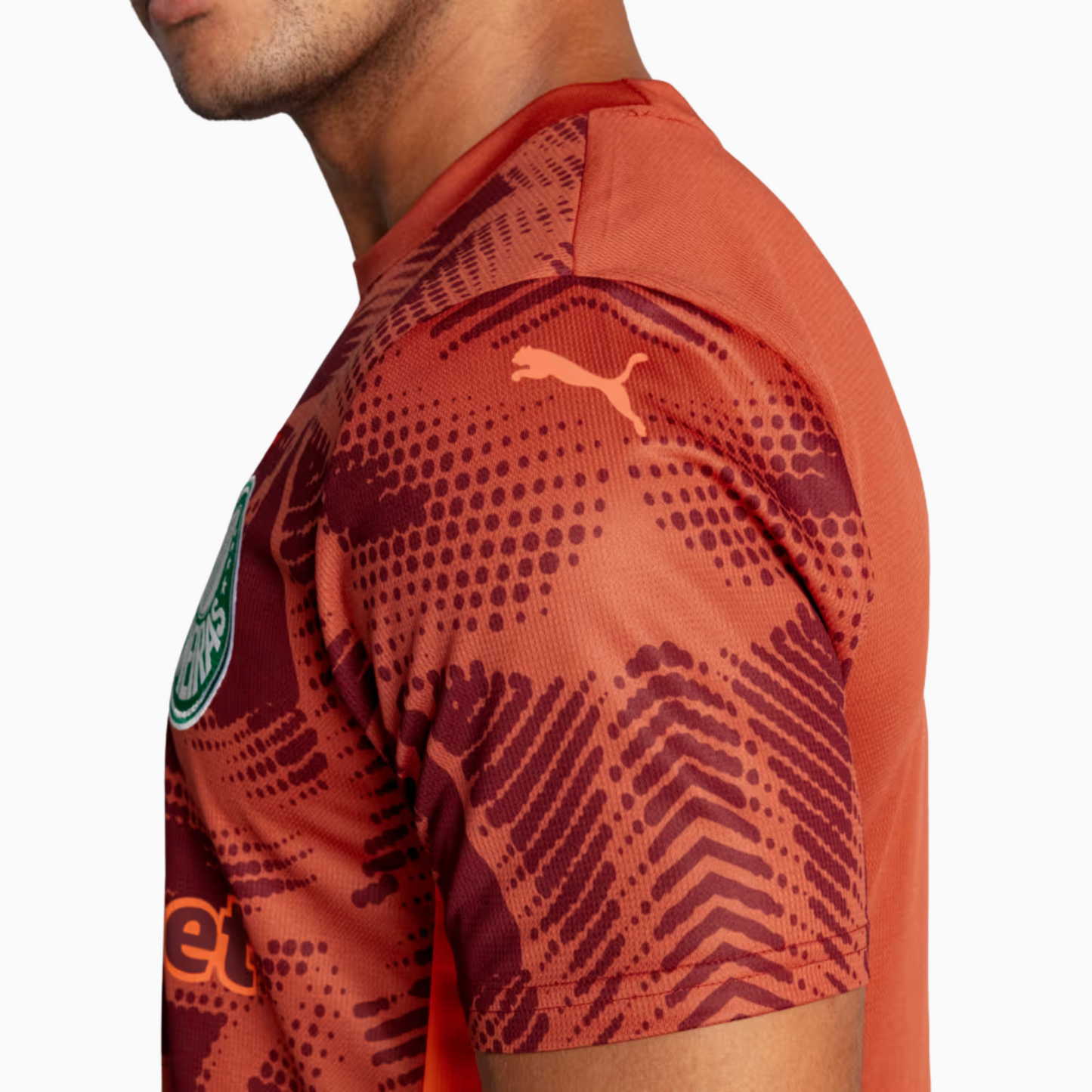 Palmeiras 2025/26 Goalkeeper Jersey - Fan Version