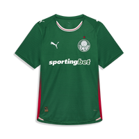 Player Version