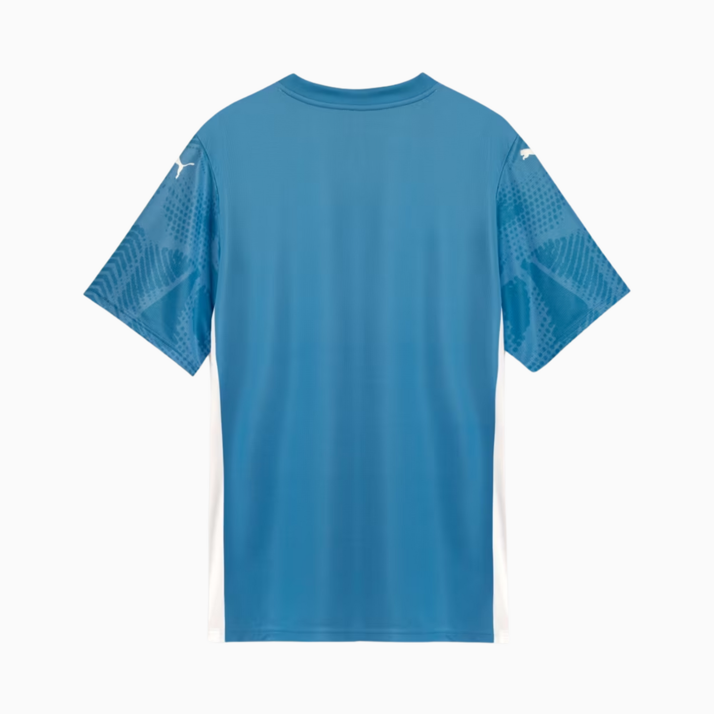 Palmeiras 2025/26 Goalkeeper Jersey – Fan Version