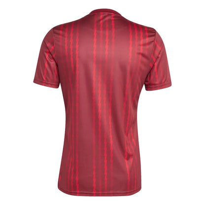 Arsenal Special Edition Jersey 25/26