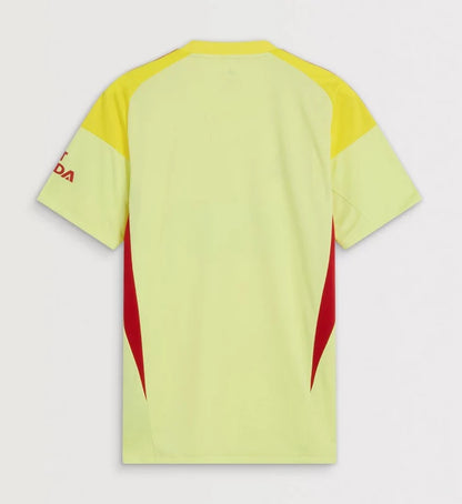 Arsenal Goalkeeper Jersey 25-26