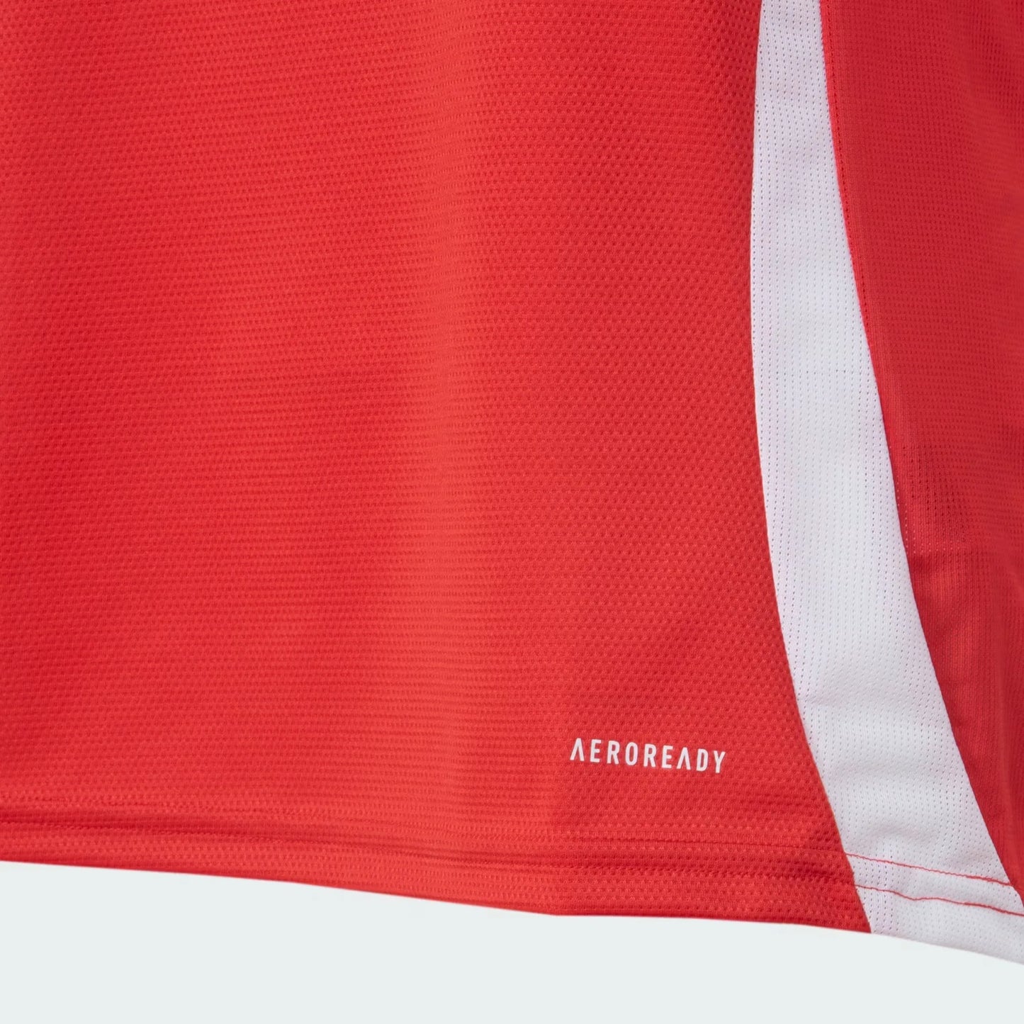 Internacional 2025/26 Home Jersey Soccer Women