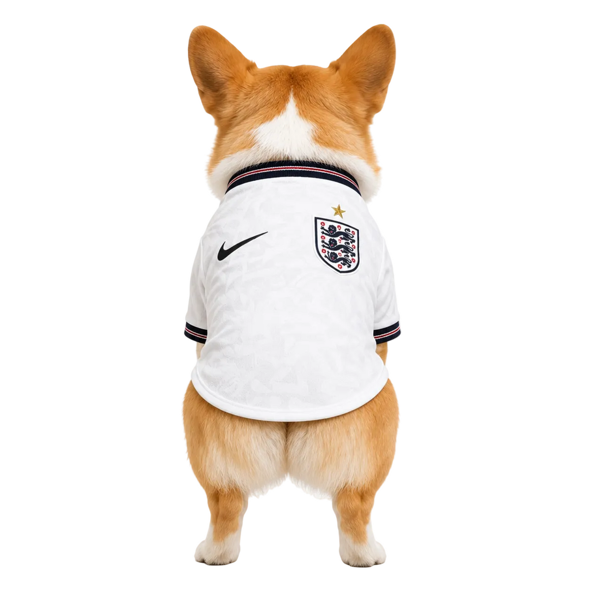 England Home Pet Shirt 2026