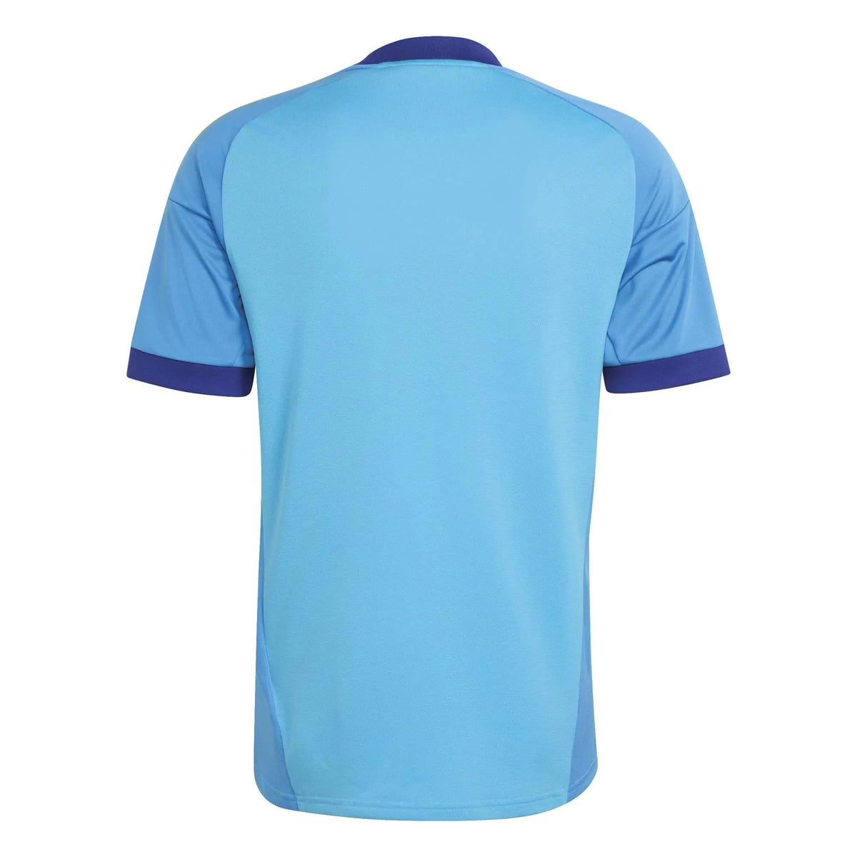Flamengo Goalkeeper Jersey Blue 26-27