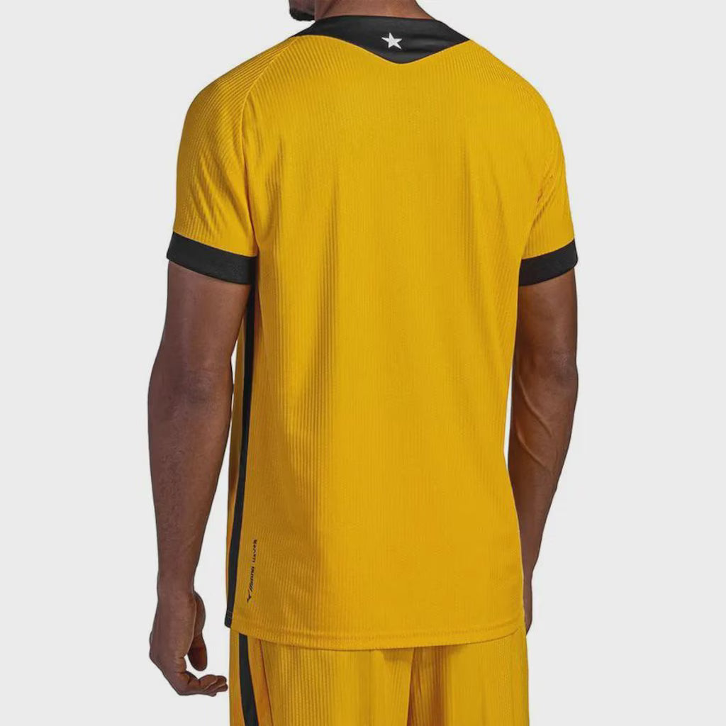 Botafogo 2026/27 Goalkeeper Jersey Soccer Yellow - Player Version