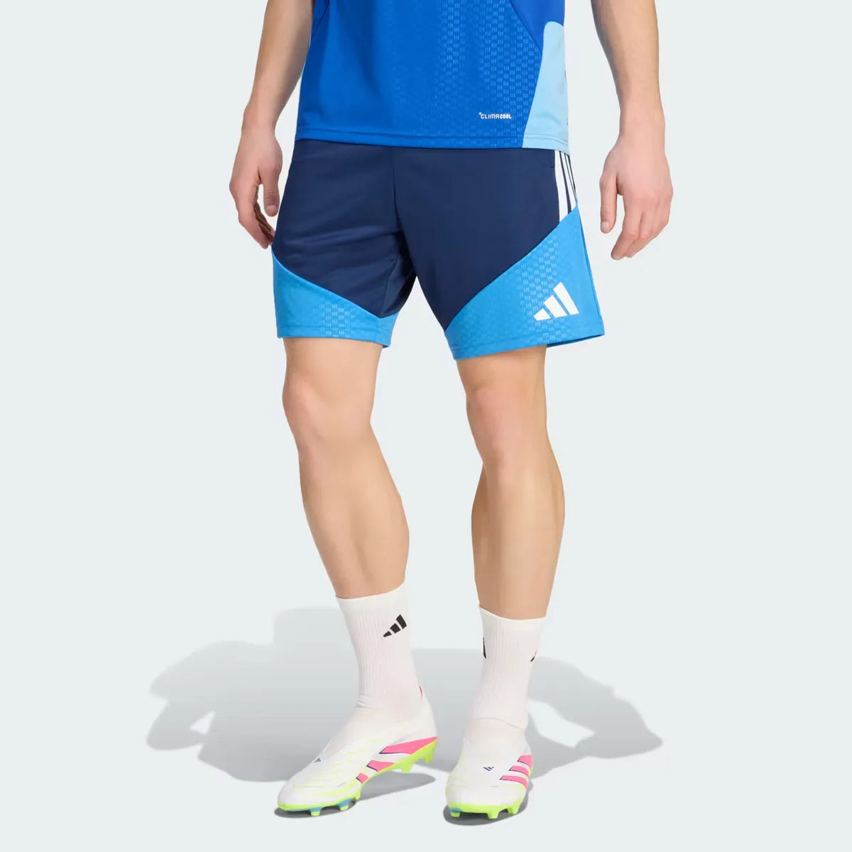 Cruzeiro 2026 Training Shorts