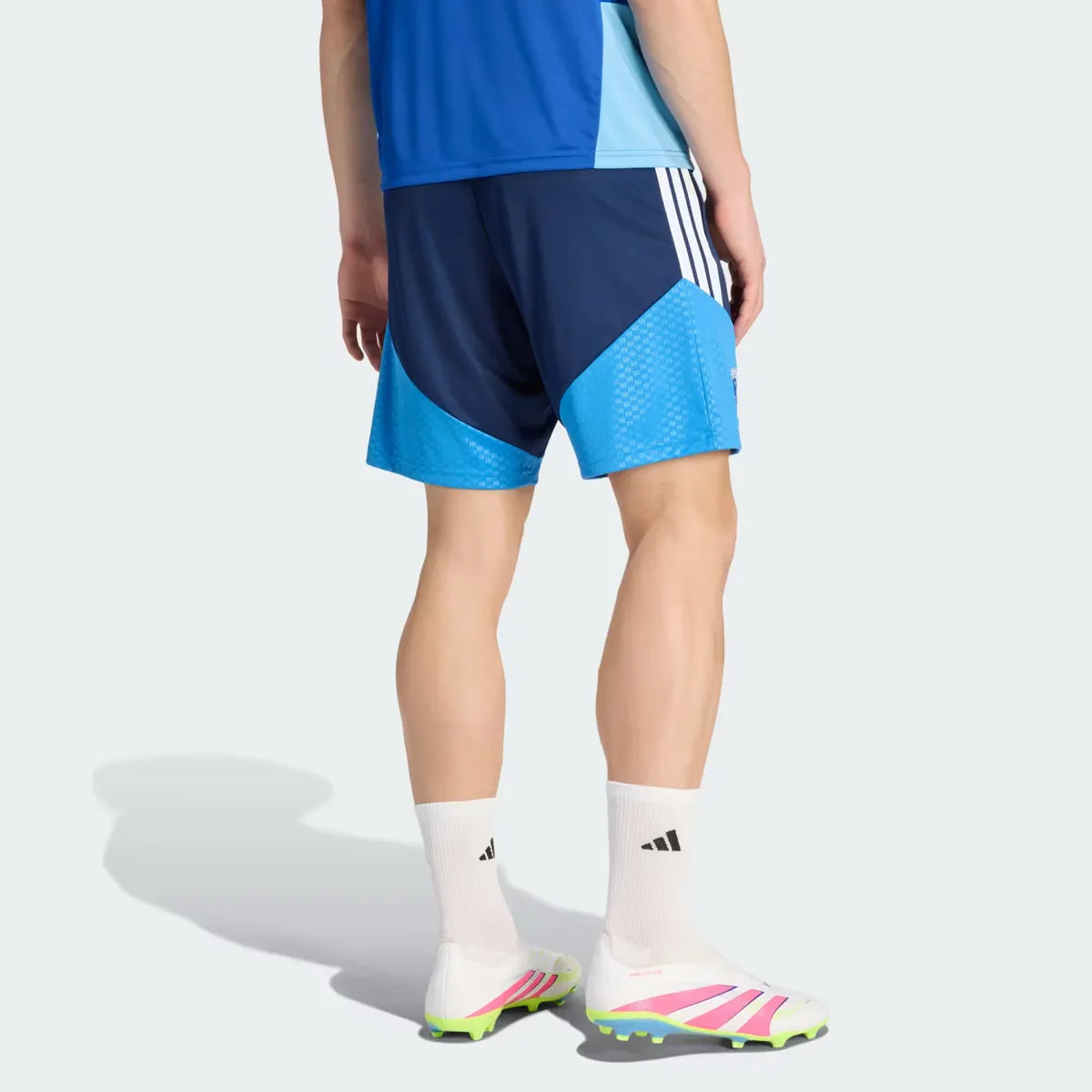 Cruzeiro 2026 Training Shorts