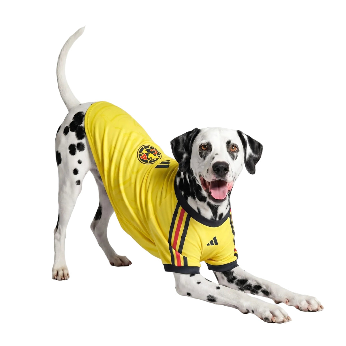 Club America Home Pet Shirt 26/27