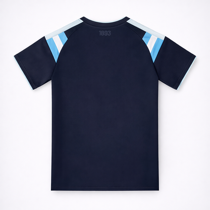 Argentina 2026 Jersey Soccer Concept