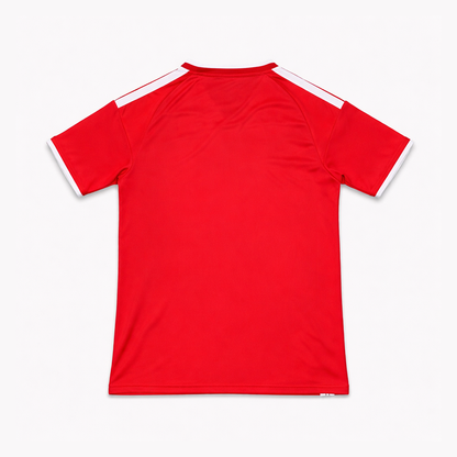 Wales Special Jersey 2026