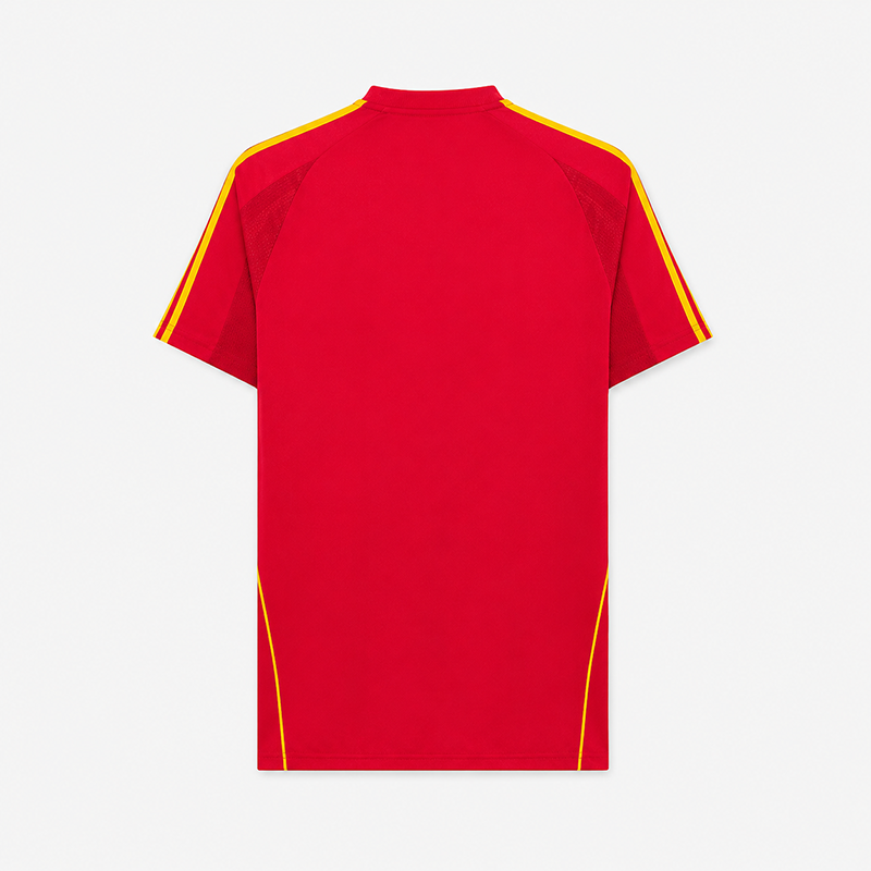 Spain Home Retro Jersey 2008