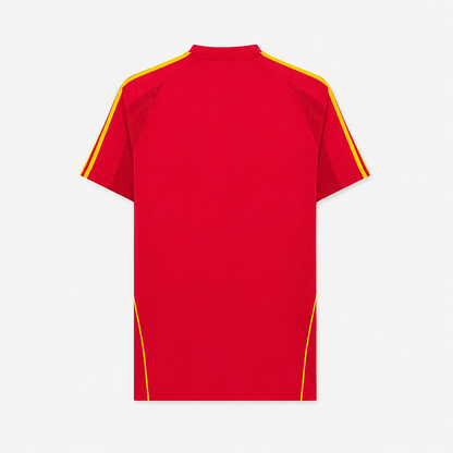 Spain Home Retro Jersey 2008