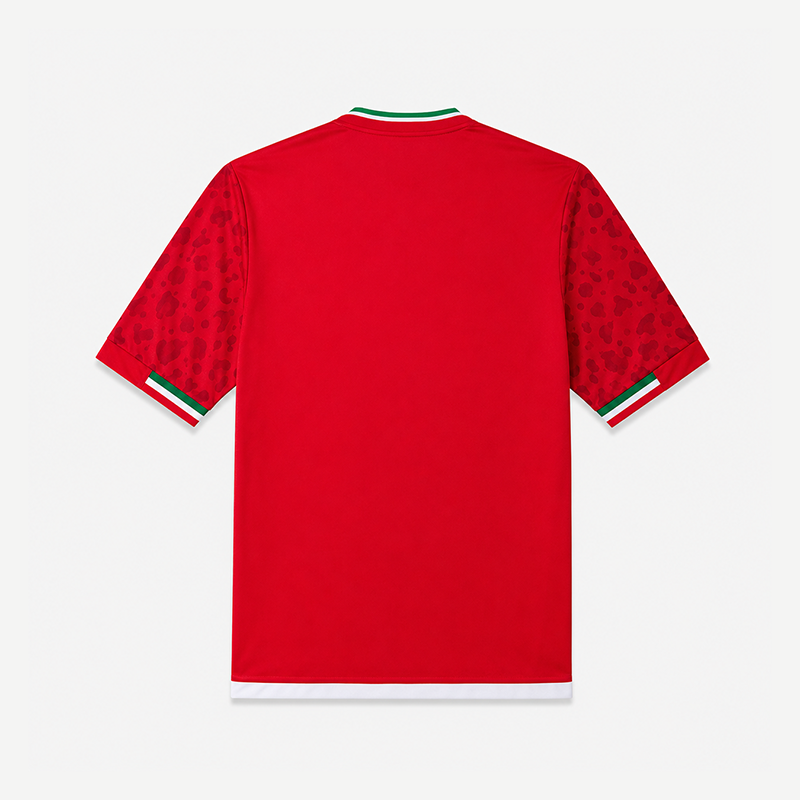 Iran Away Jersey 2026