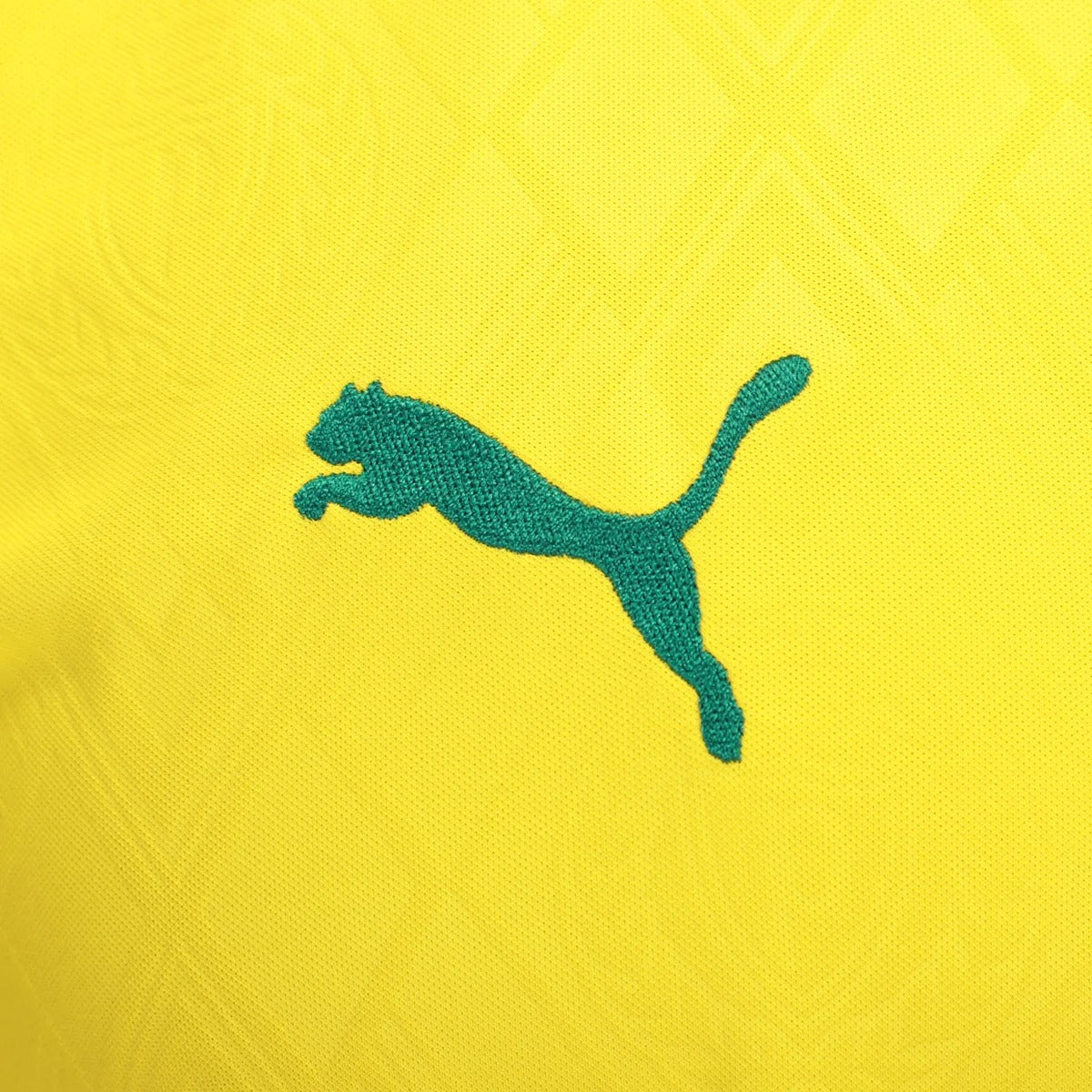 Palmeiras 2025/26 III Third Jersey - Fan Version