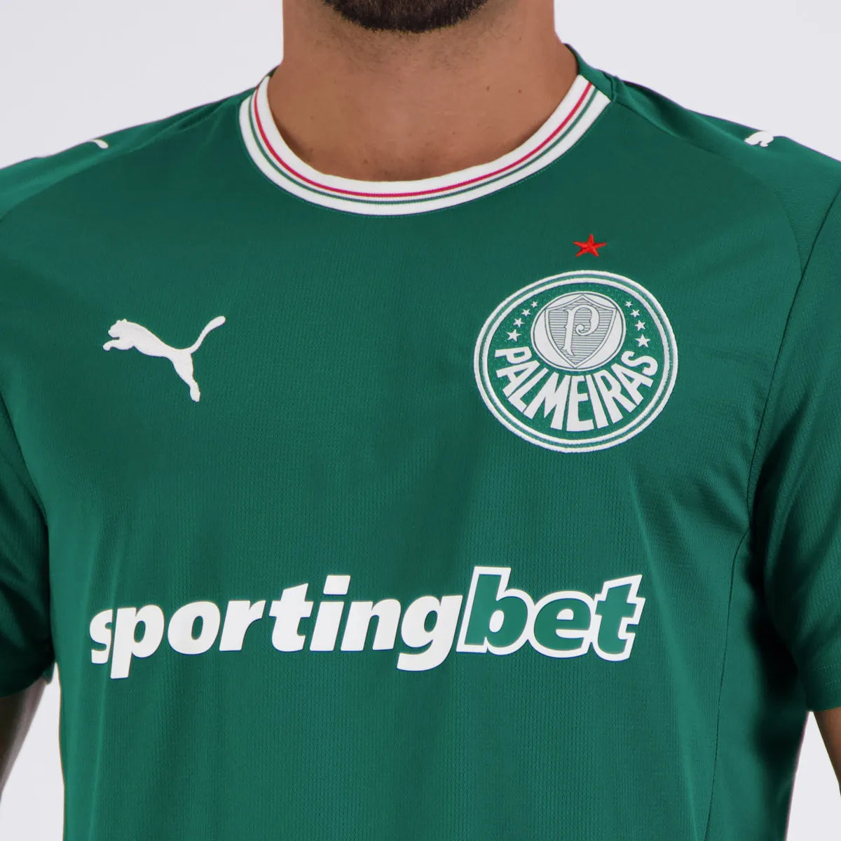 Palmeiras 2026/27 I Home Jersey Soccer - Fan Version
