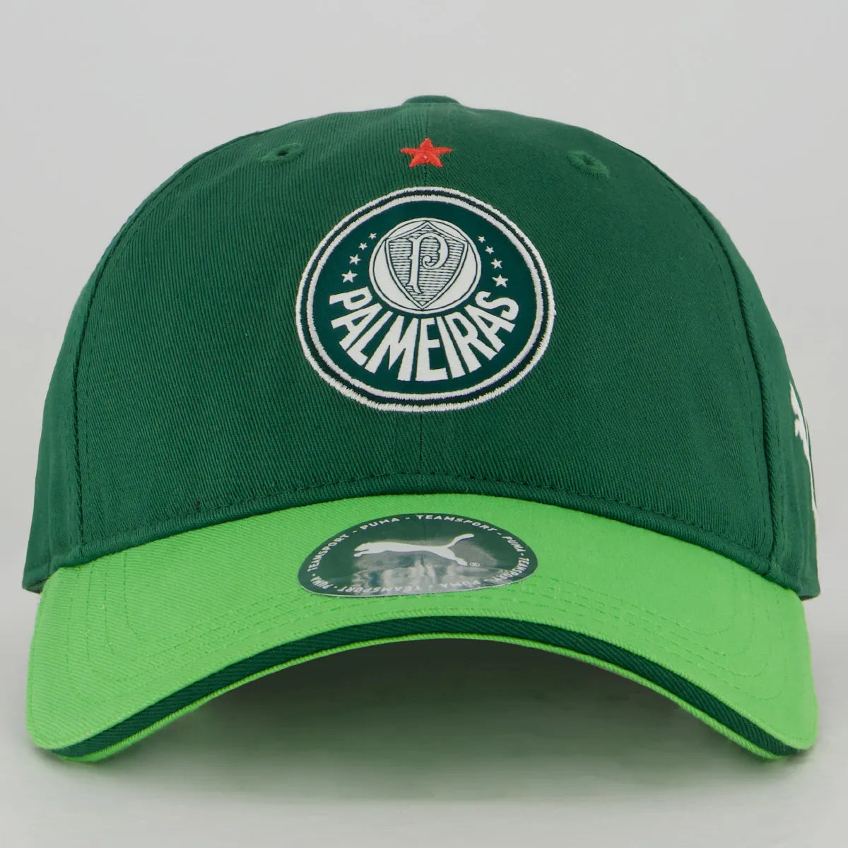 Palmeiras Cap Training Green