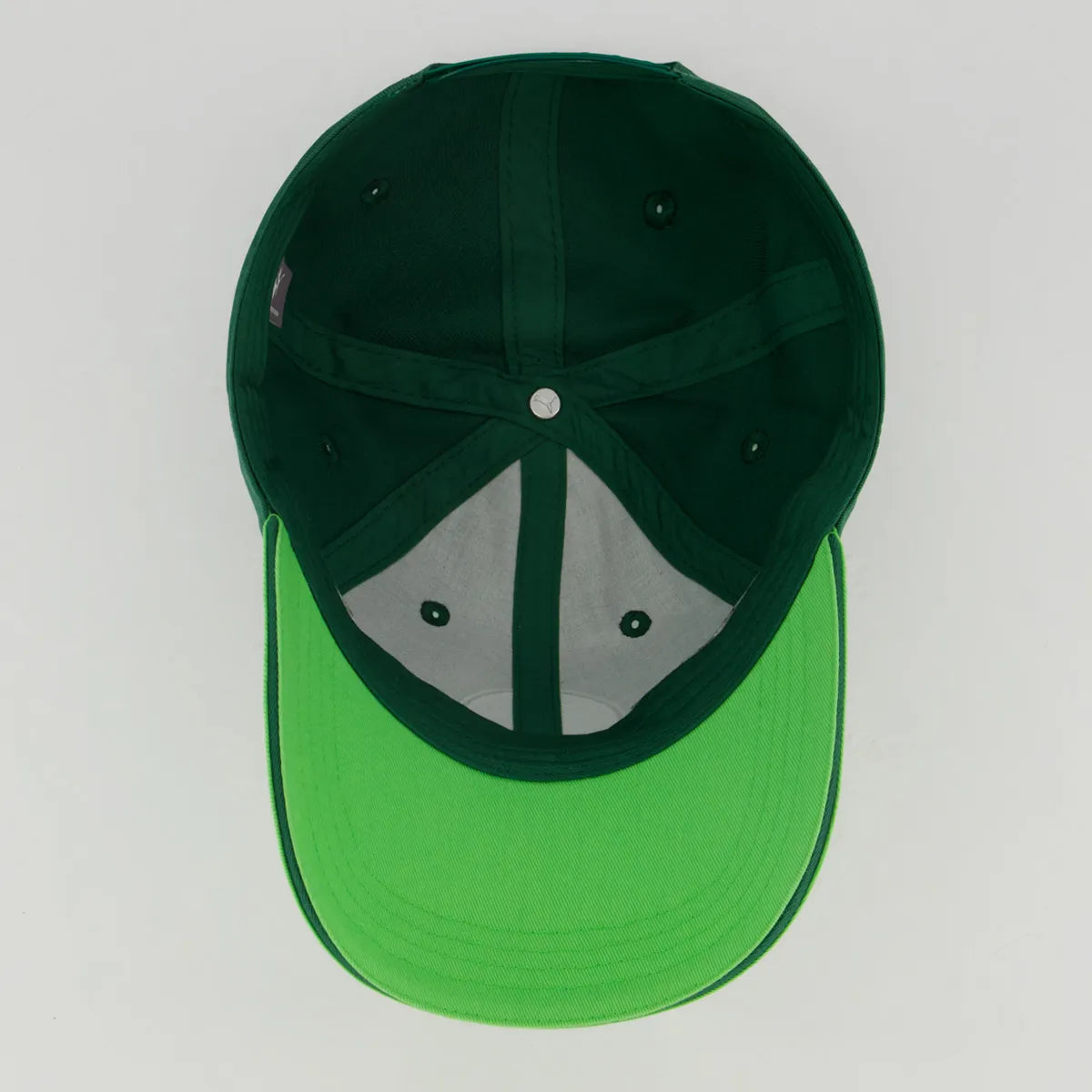 Palmeiras Cap Training Green