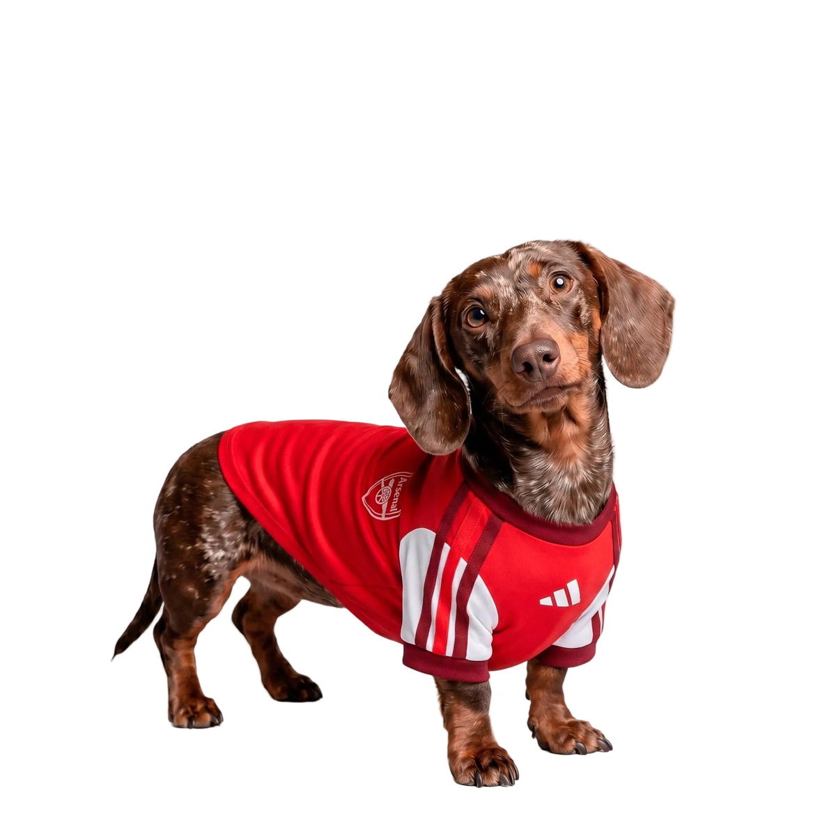 Arsenal Home Pet Shirt 26/27
