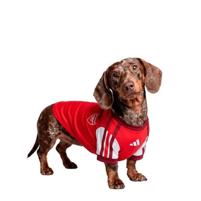 Arsenal Home Pet Shirt 26/27