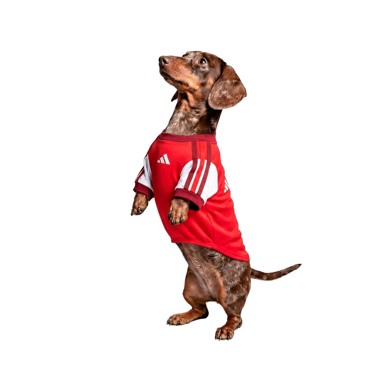 Arsenal Home Pet Shirt 26/27